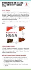 NAFLD_At-A-Glance_Esp