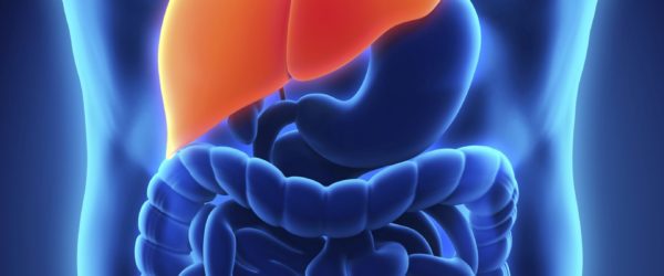 Managing Liver Disease