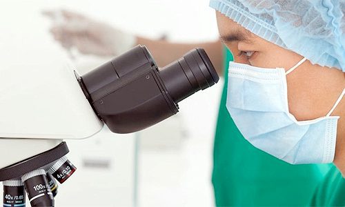 Researcher Microscope