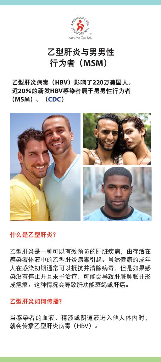 Hepatitis B At-a-Glance Men Who Have Sex with Men MSM (Chinese)