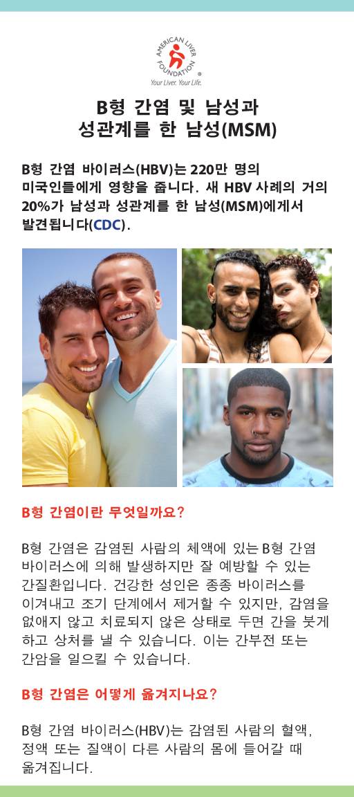 Hepatitis B At-a-Glance Men Who Have Sex with Men MSM (Korean)