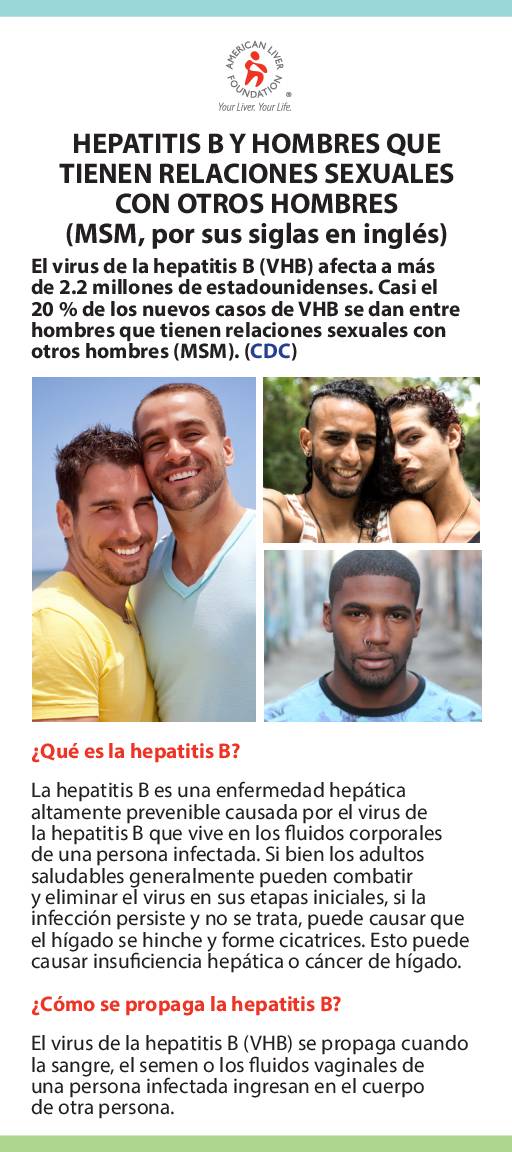 Hepatitis B At-a-Glance Men Who Have Sex with Men MSM (Spanish)