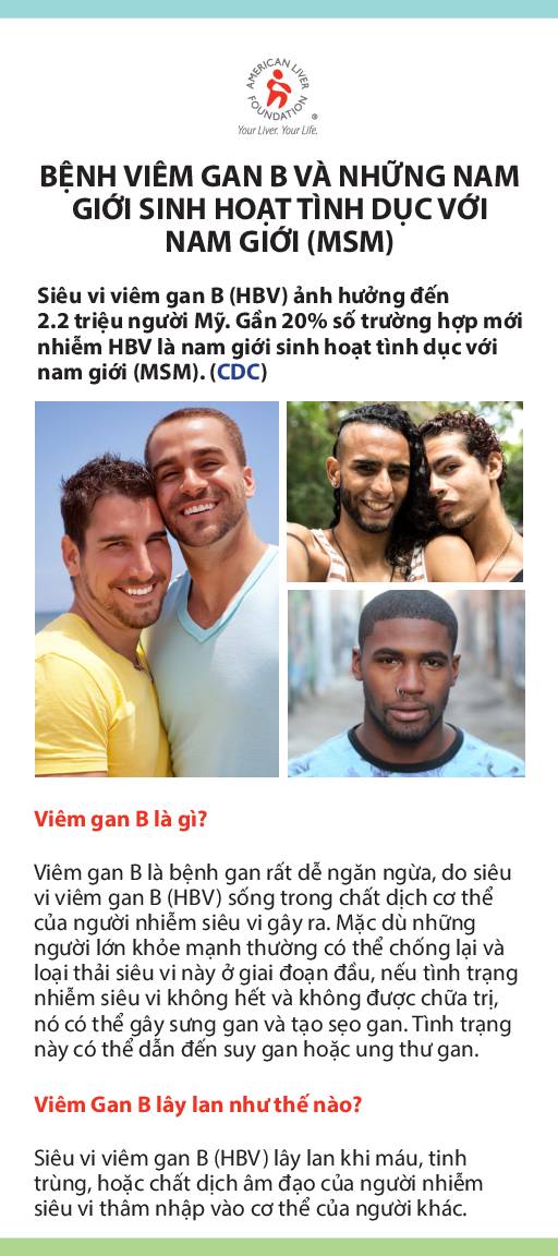 Hepatitis B At-a-Glance Men Who Have Sex with Men MSM (Vietnamese)