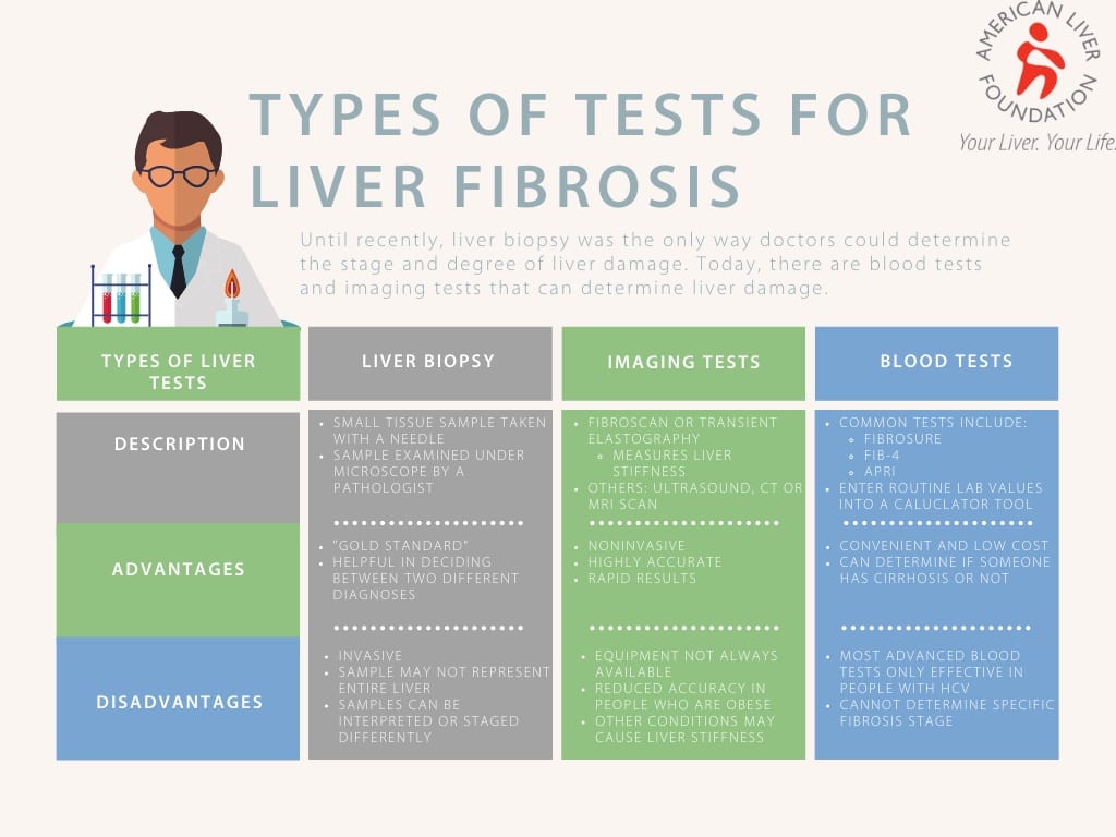 Liver Awareness Month: Fibrosis